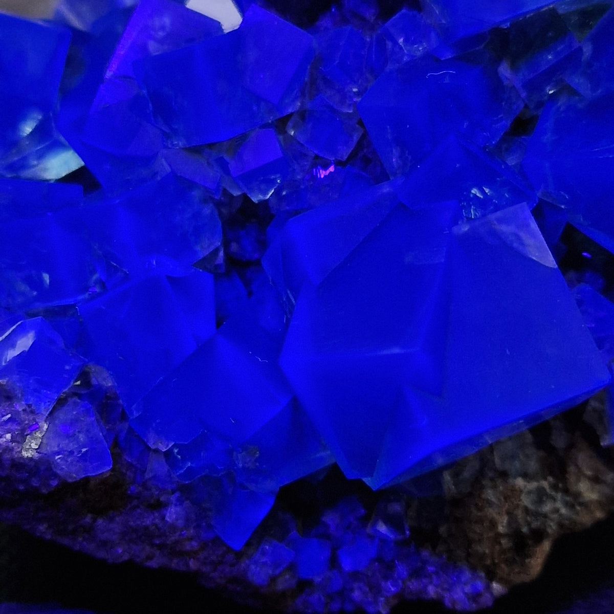 Fluorite and Galena - Pocket 42, Diana Maria Mine, Co. Durham, England.