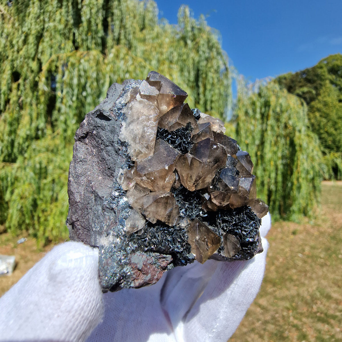 Smoky Quartz and Specularite on Hematite - Beckermet Mine, England, UK.