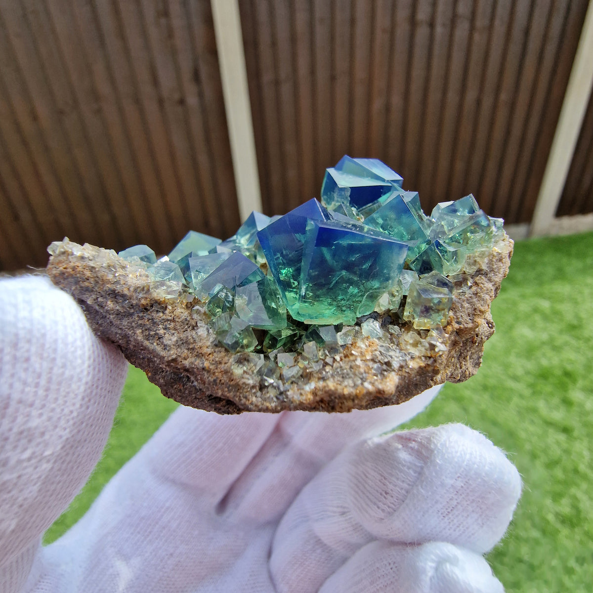 Fluorite and Galena - Pocket 42, Diana Maria Mine, Co. Durham, England.