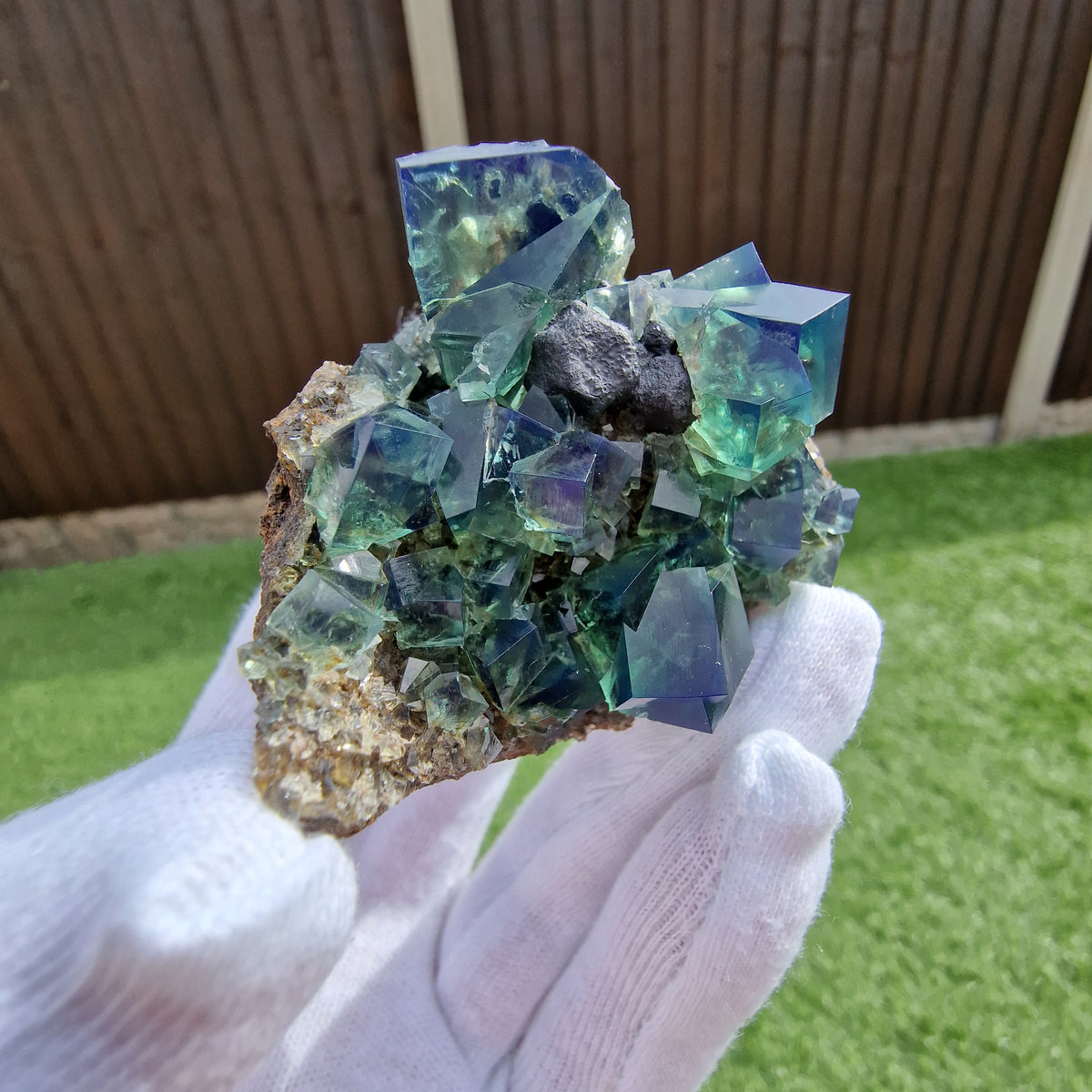 Fluorite and Galena - Pocket 42, Diana Maria Mine, Co. Durham, England.