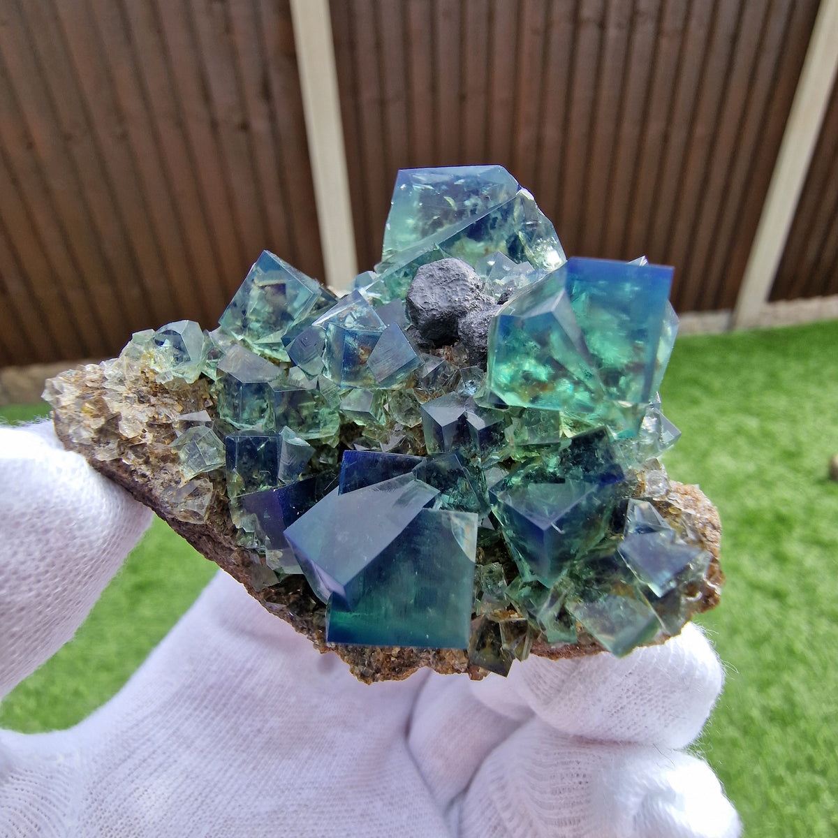 Fluorite and Galena - Pocket 42, Diana Maria Mine, Co. Durham, England.