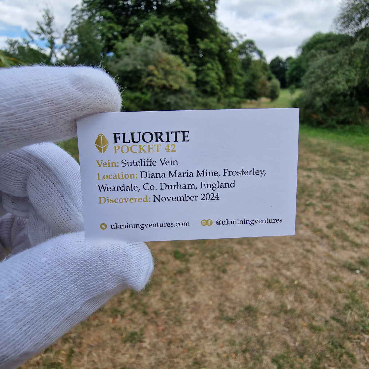 Fluorite and Galena - Pocket 42, Diana Maria Mine, Co. Durham, England.