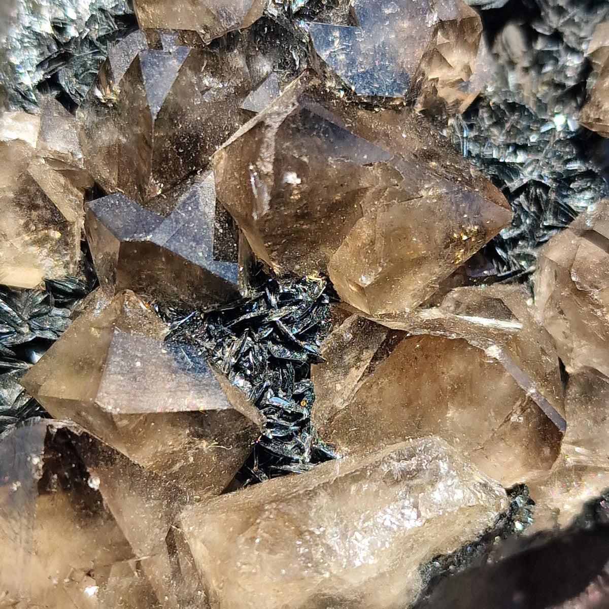 Smoky Quartz and Specularite on Hematite - Beckermet Mine, England, UK.