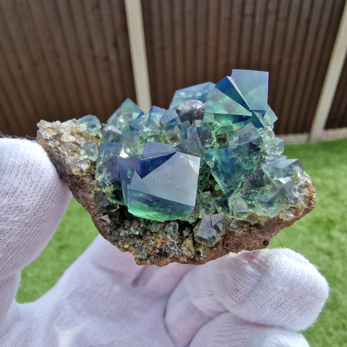 Fluorite and Galena - Pocket 42, Diana Maria Mine, Co. Durham, England.