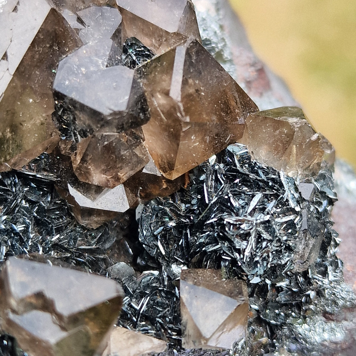 Smoky Quartz and Specularite on Hematite - Beckermet Mine, England, UK.
