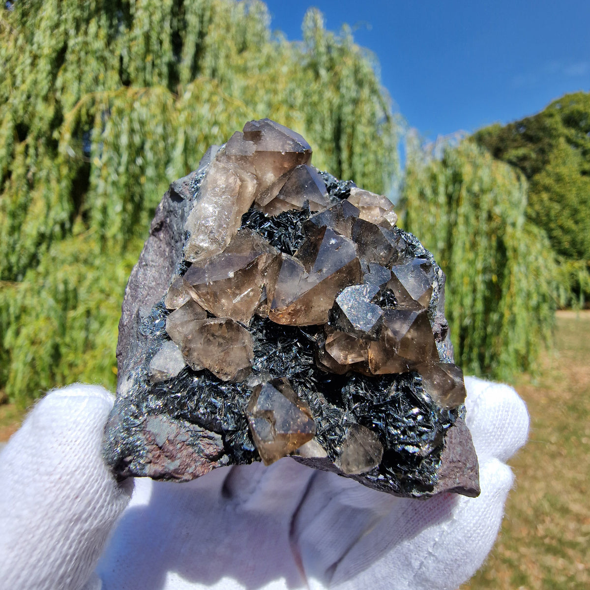 Smoky Quartz and Specularite on Hematite - Beckermet Mine, England, UK.