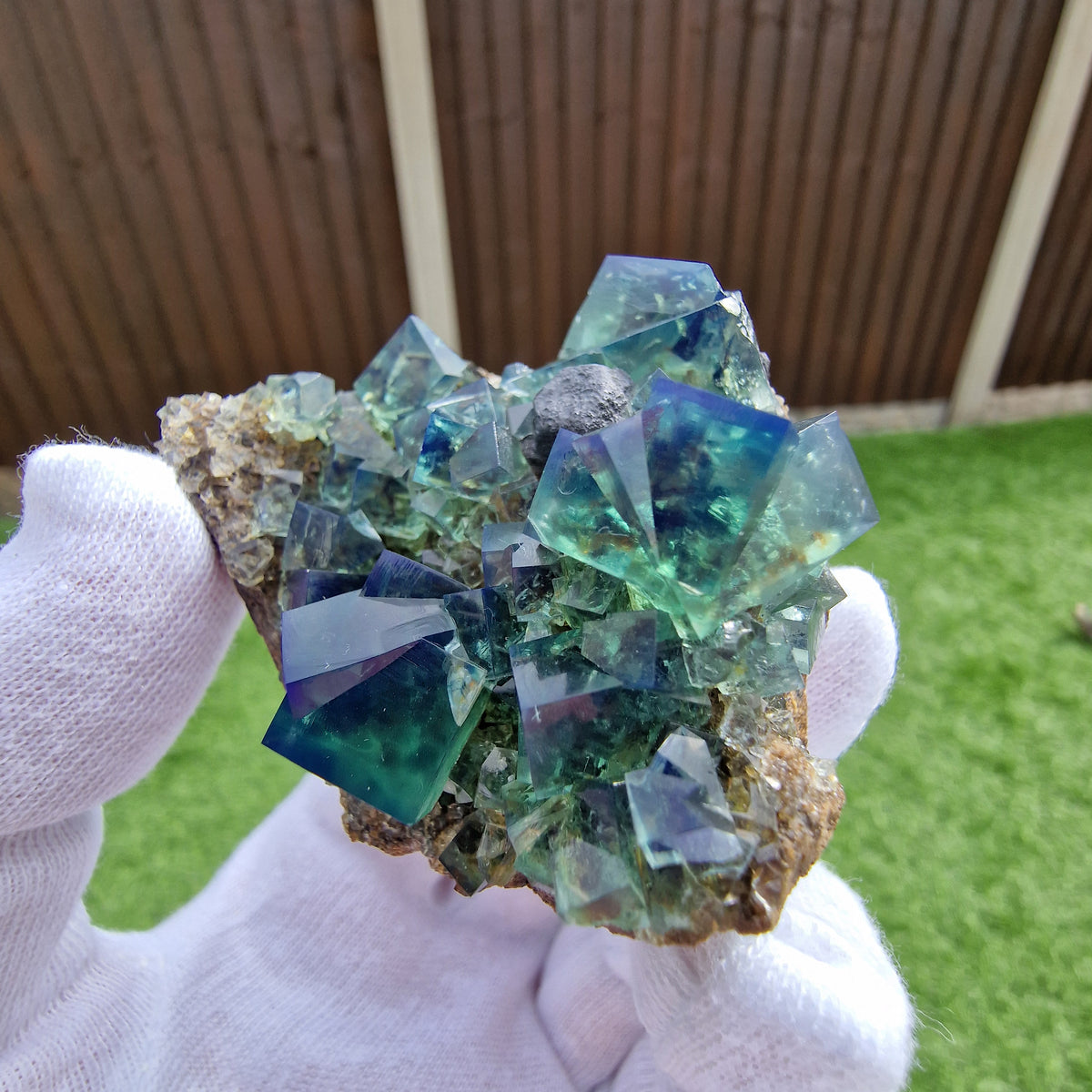 Fluorite and Galena - Pocket 42, Diana Maria Mine, Co. Durham, England.